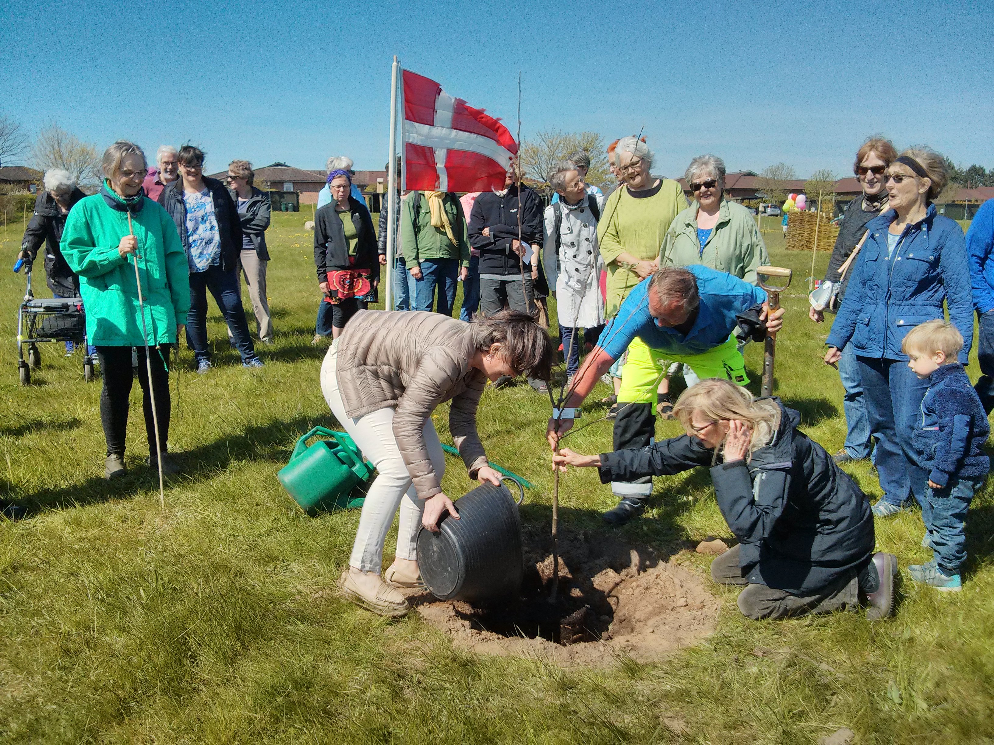 IMG_20160507_111917 (1)