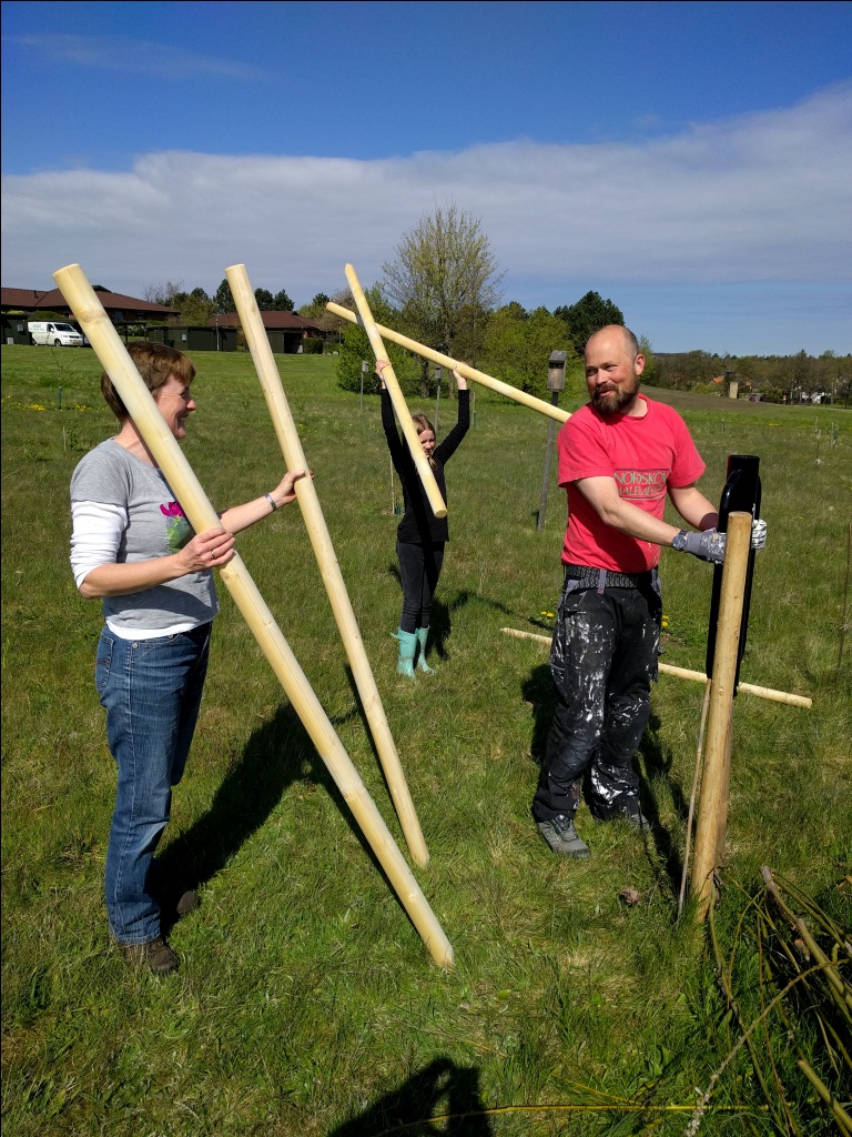 IMG_20170506_105930x