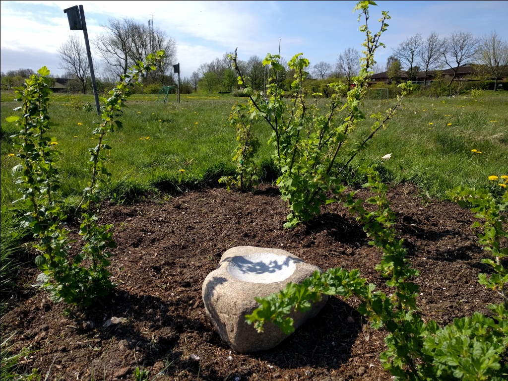 IMG_20170506_110430x