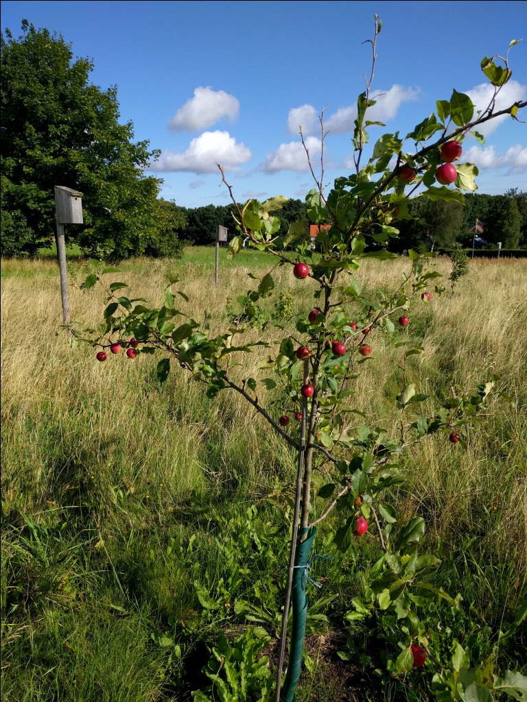 IMG_20170819_093937x