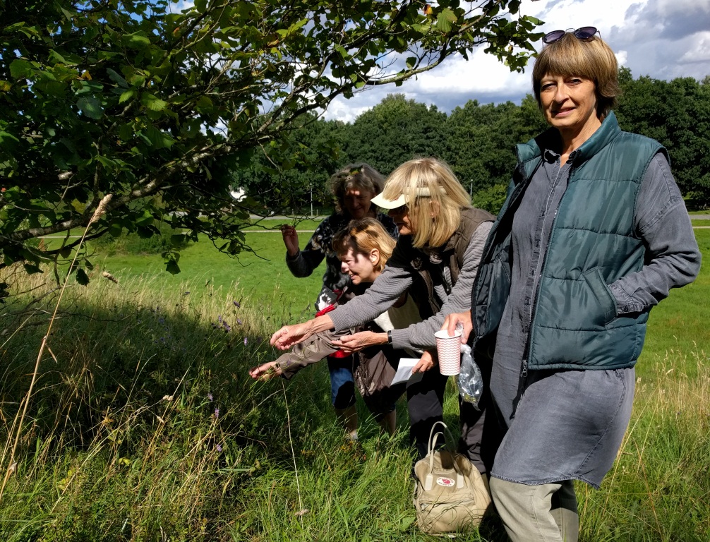 IMG_20170819_144530x (1)