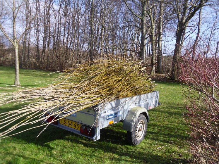pil fældning - februar 4