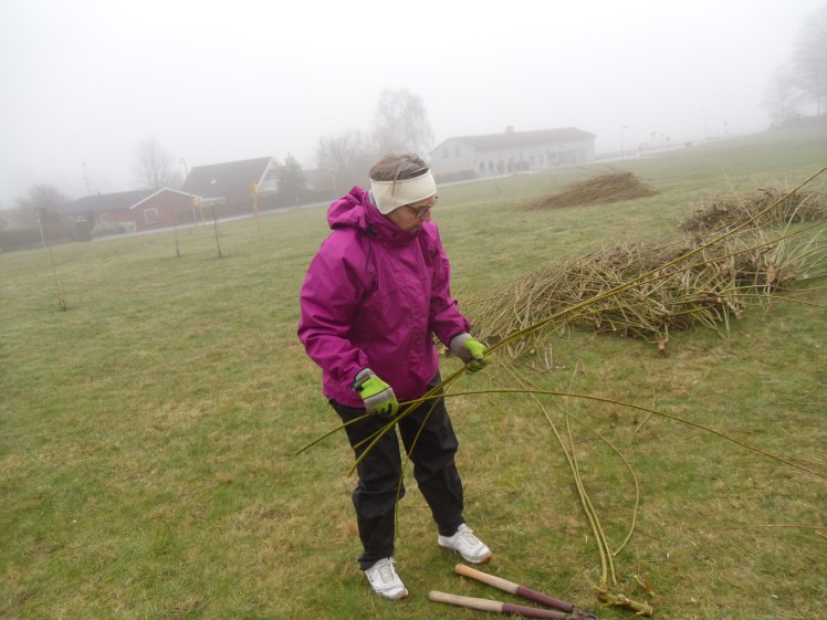 Pil - forberedelse - marts 3