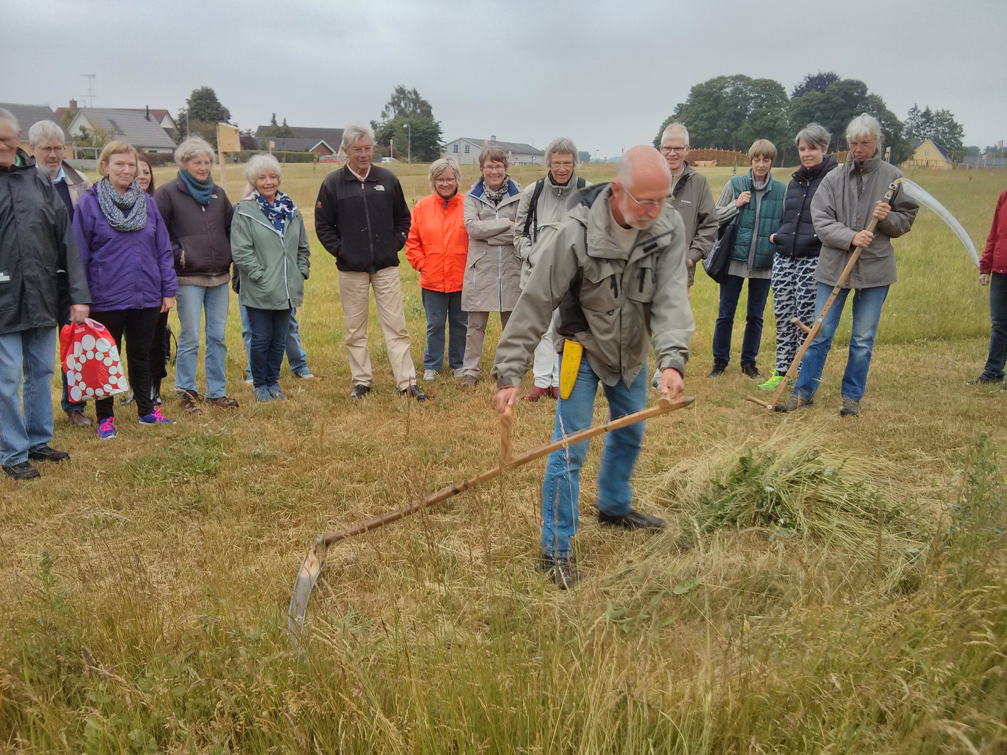 IMG_20160614_191541 (1)