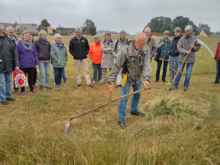 IMG_20160614_191541 (1)