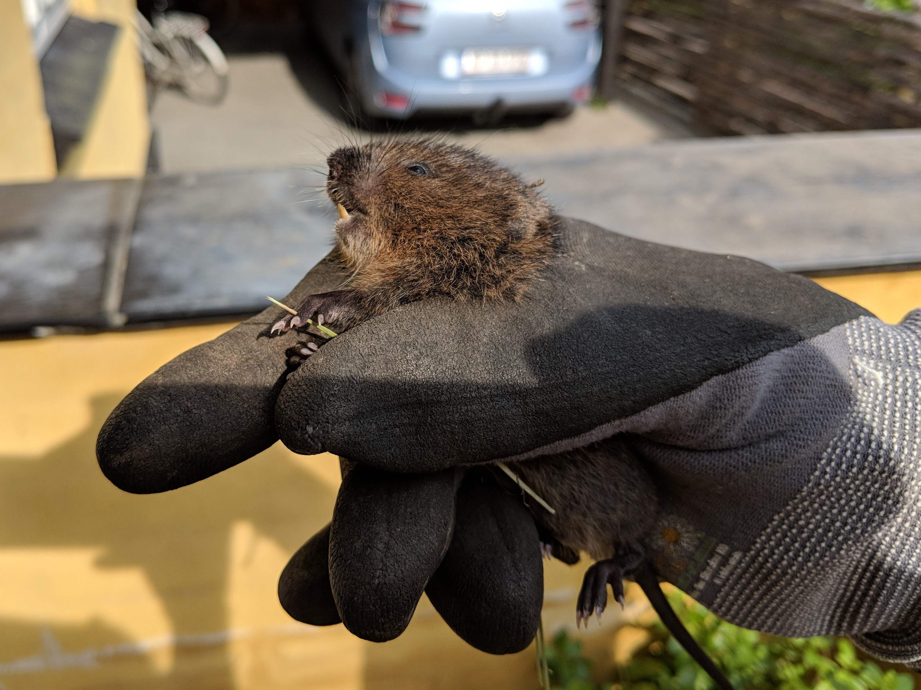 Maker:0x4c,Date:2017-10-10,Ver:4,Lens:Kan03,Act:Lar01,E-Y