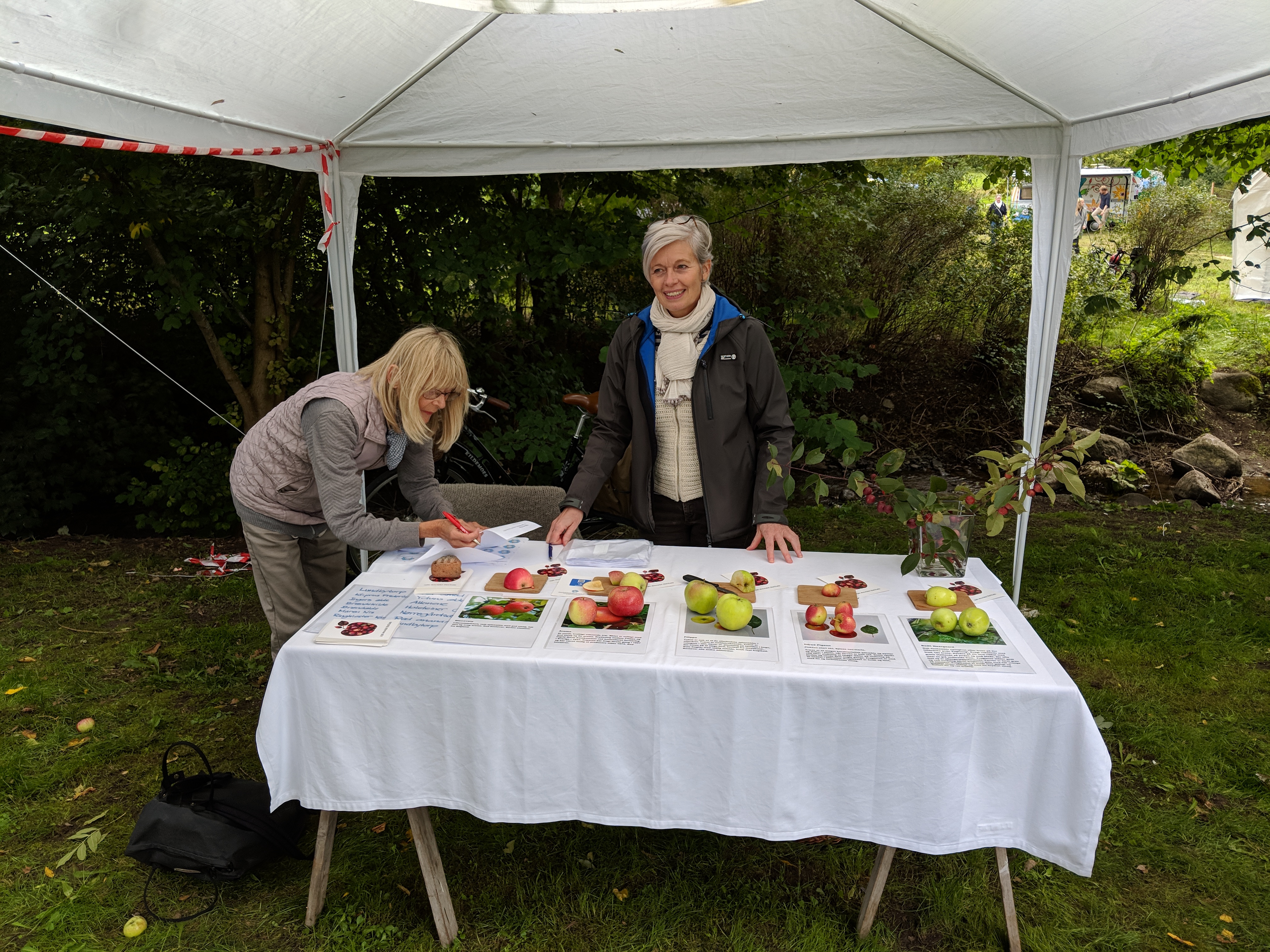 IMG_20180908_153319 (1)