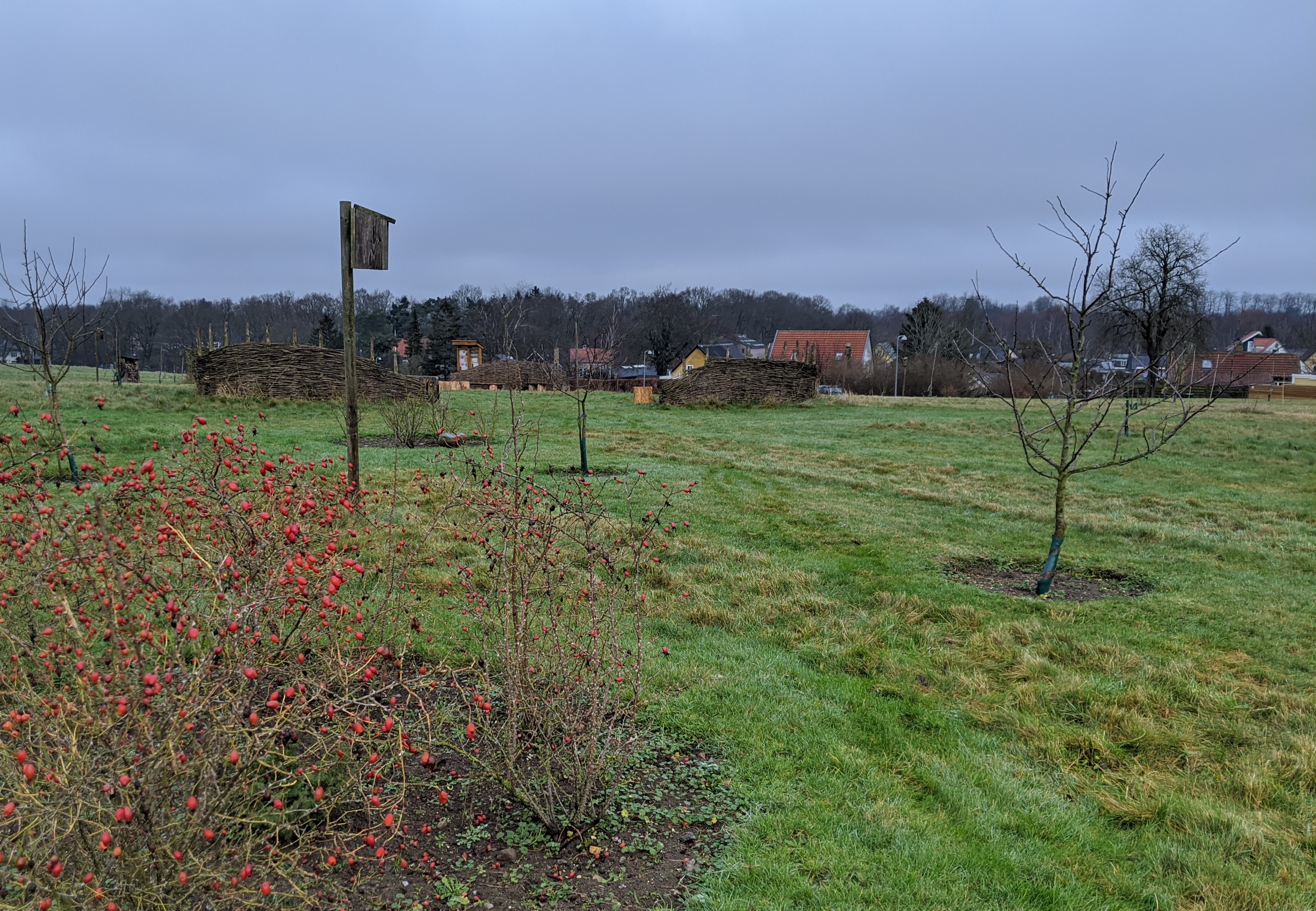 MVIMG_20191222_105757