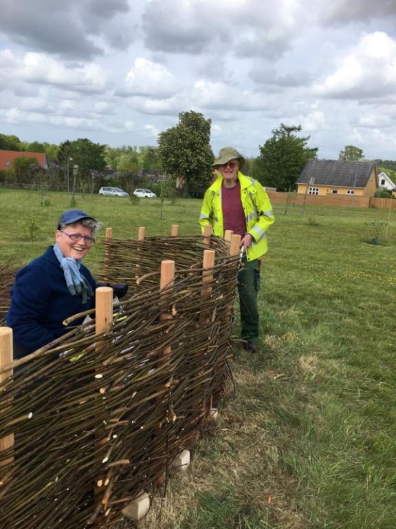 IMG_20200523_171034_01